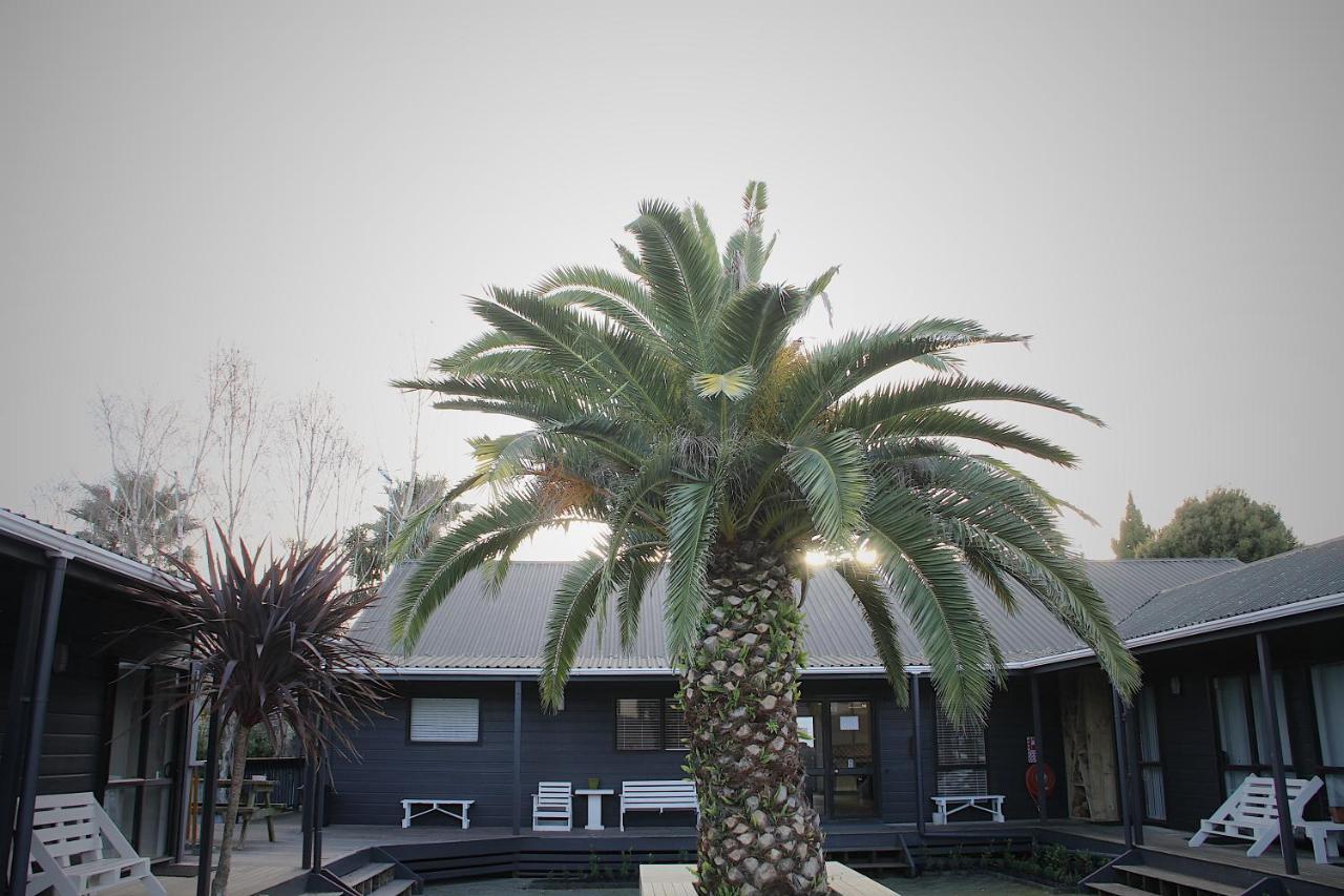 Hugo & Carters Backpackers & Motel Tauranga Dış mekan fotoğraf The pool at the hotel